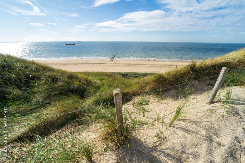 View over the sea from the dunes near Vlissingen, the Netherlands