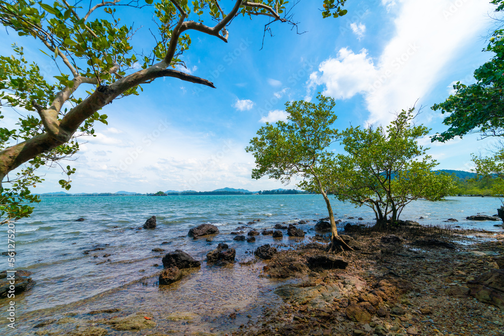 Sea beach wave with tropical tree blue sky with cloud summer vacation Sea beach wave with tropical tree blue sky with cloud summer vacation