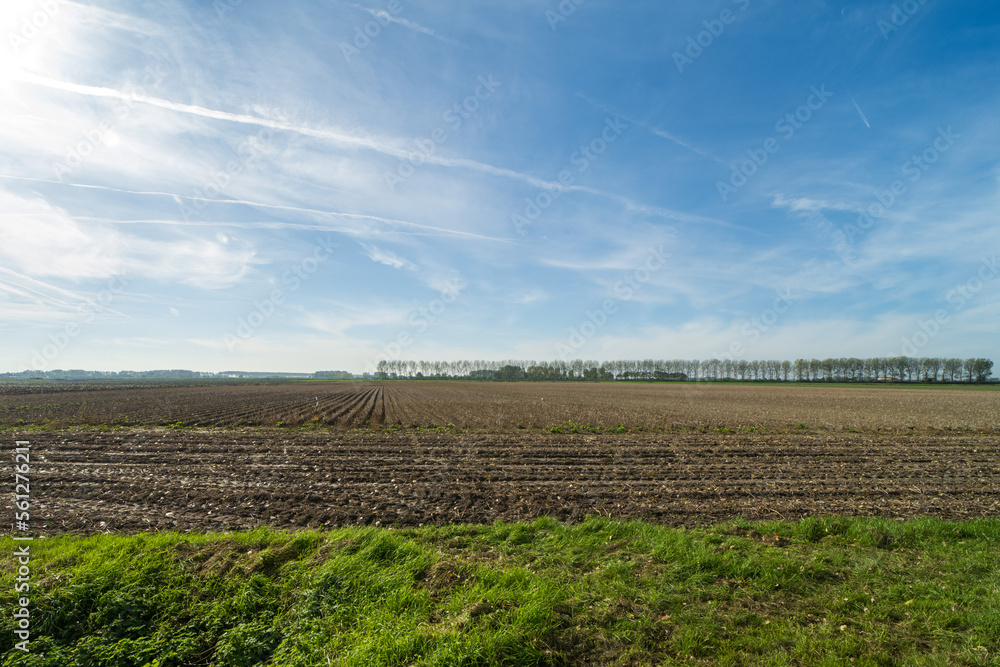 Agricultural fields near Sluis, the Netherlands