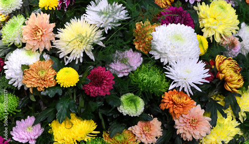 Flowers wall background with amazing red, orange, pink, purple, green and white chrysanthemum flowers ,Wedding decoration, hand made Beautiful flower wall background	