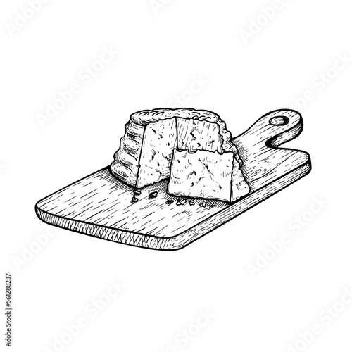 Traditional Italian soft cheese Ricotta on the cutting wooden board with handle. Hand drawn sketch style. Vector illustration isolated on white.