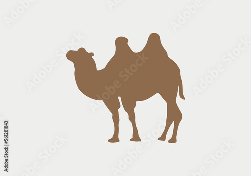 camel icon vector. camel sign on white background. camel icon for web and app