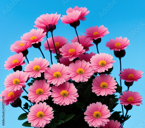 Wallpaper Mural beautiful pink cosmos flowers in the garden Torontodigital.ca