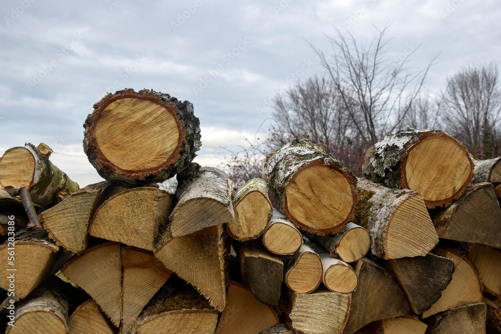 Sawn wood is stacked in woodpile. Wall of old wooden logs with cracked ends. Trees are visible in blurry background. Copy space.