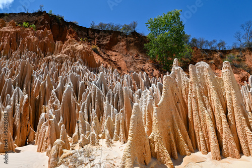 Red Tsingy – Tsingy Rouge - near Diego Suarez, Madagascar photo