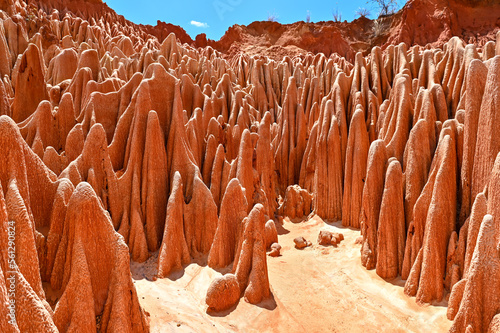 Red Tsingy – Tsingy Rouge - near Diego Suarez, Madagascar photo