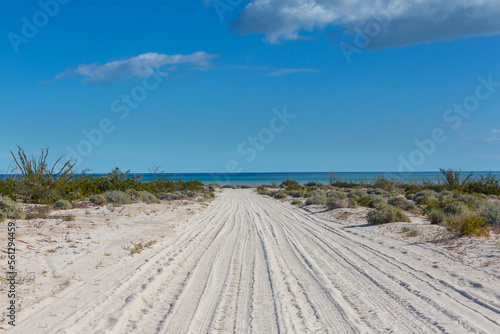 Road in Baja