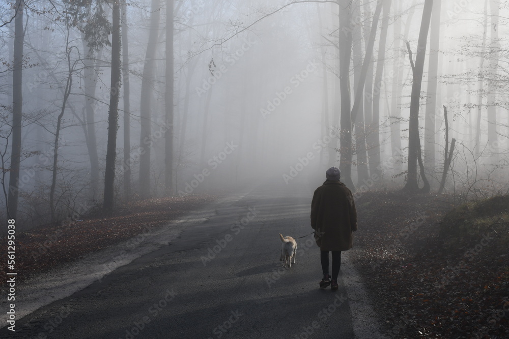 walking in the woods