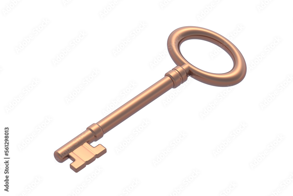 Brass key isolated on white background. 3d render Brass key isolated on white background. 3d render
