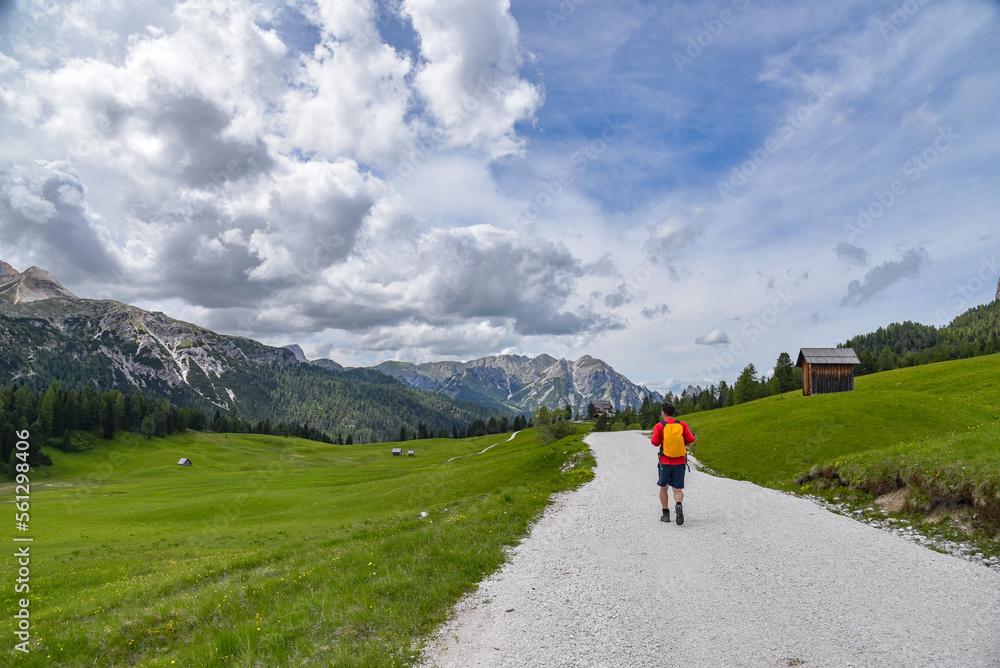Wanderweg auf der Plätzwiese in Südtirol