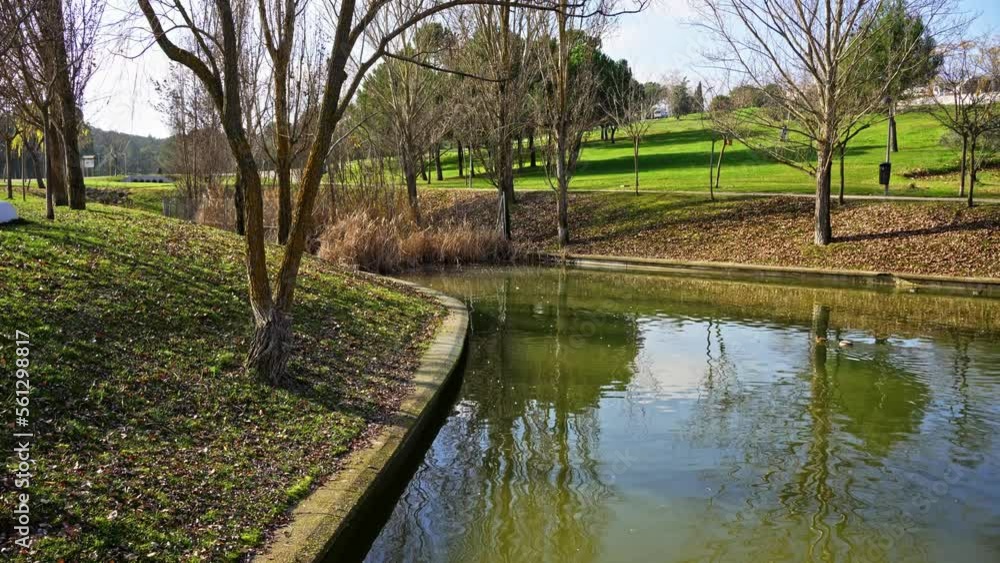 Public park with a lake where ducks swim quietly in the city, Tres Cantos, Madrid. Public park with a lake where ducks swim quietly in the city, Tres Cantos, Madrid.