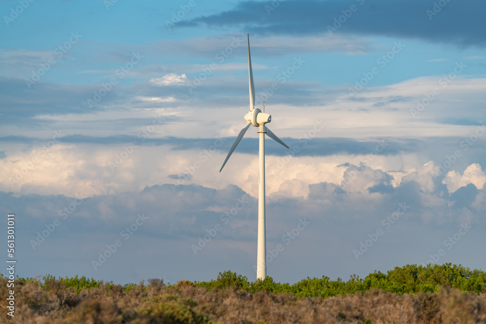 Wind turbines landscape in Bozcaada, Canakkale, Turkey Wind turbines landscape in Bozcaada, Canakkale, Turkey