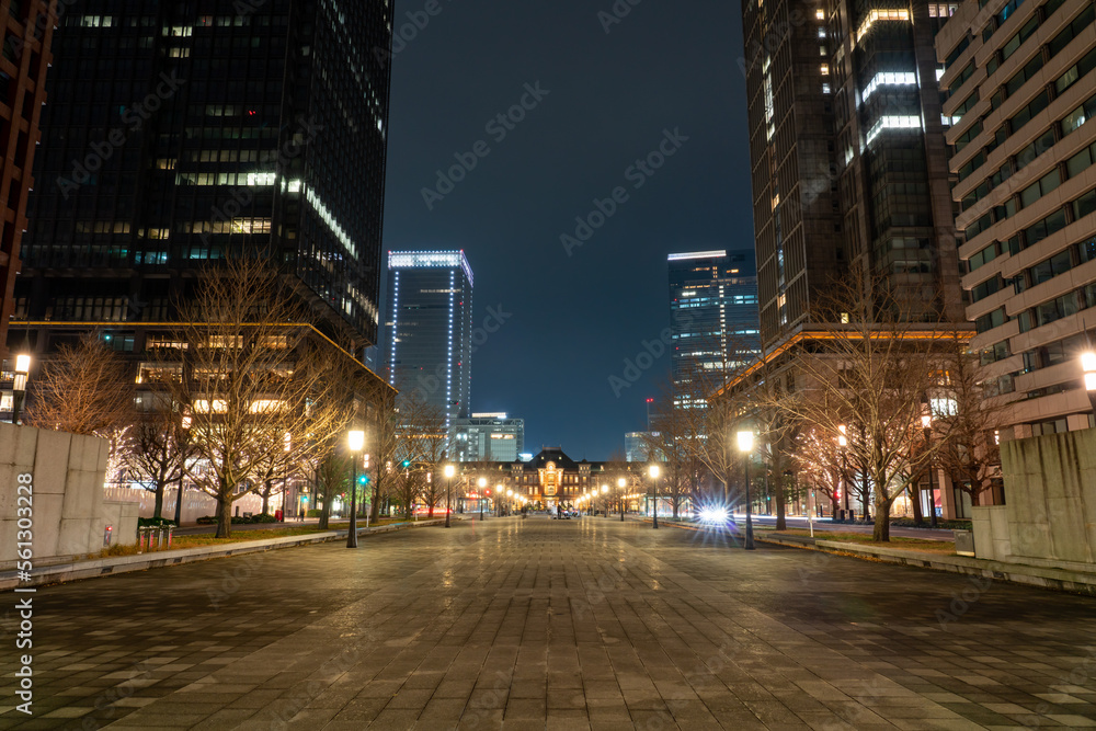 Fototapeta premium 行幸通りから見る東京駅と丸の内ビル群の夜景 東京丸の内