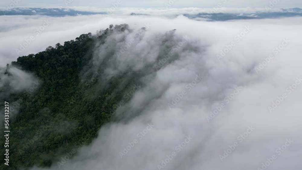Slow move toward waterfall cloud in rainforest Malaysia Slow move toward waterfall cloud in rainforest Malaysia