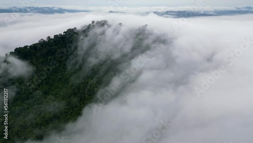 Wallpaper Mural Slow move toward waterfall cloud in rainforest Malaysia Torontodigital.ca