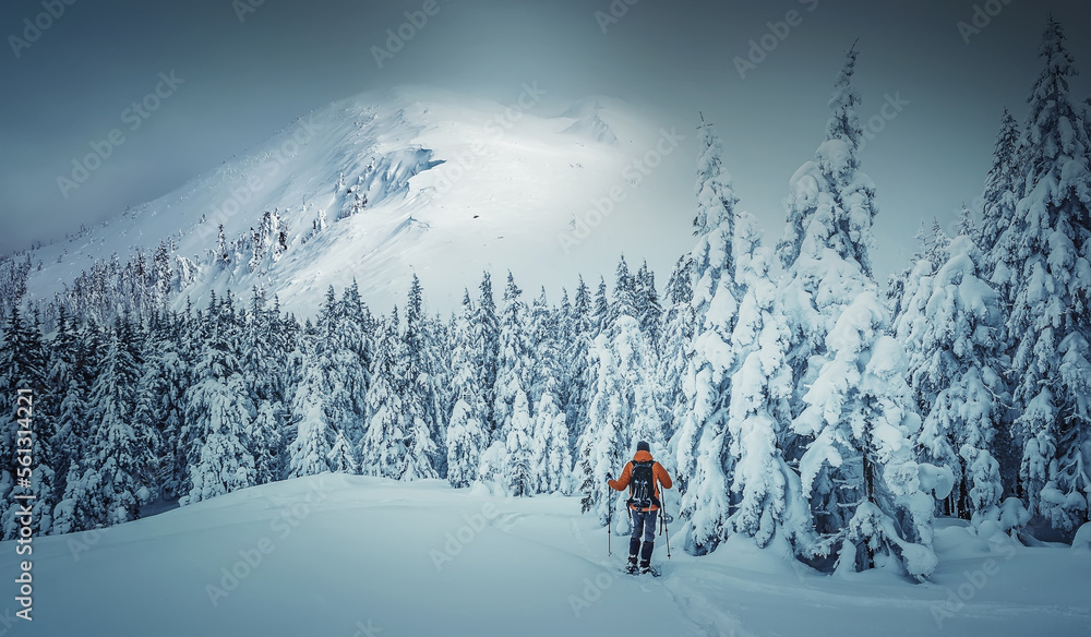 Amazing athmospheric Landscape. Beautiful natural landscape in the winter. Adventurous traveller standing in front Snowcovered trees and majestic rocky mount. Travel adventure and freedom concept.