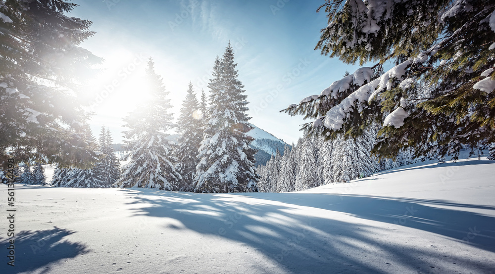 Obraz premium Wonderful wintry landscape. Winter mountain forest. frosty trees under warm sunlight. picturesque nature scenery. creative artistic image. Nature background. winter holiday day. Christlmas concept