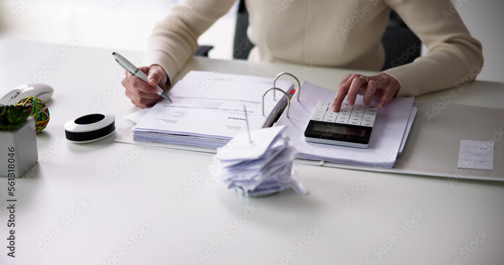 Fototapeta premium IRS Tax Audit