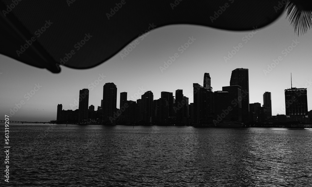 city skyline black white miami 