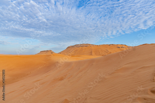 Dubai  UAE  desert Al Marmoom