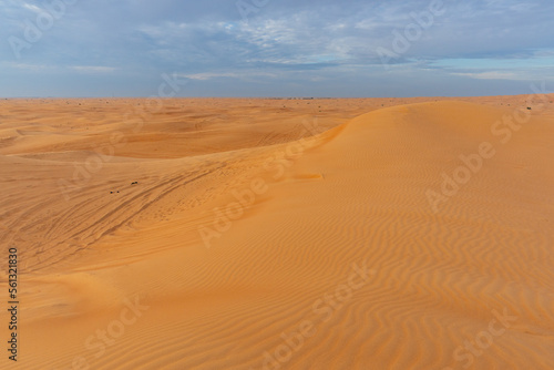 Dubai  UAE  desert Al Marmoom
