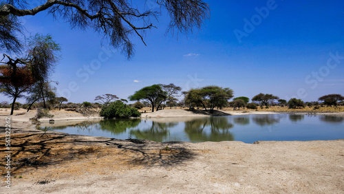 Wasserloch im Tarangire-Nationalpark in Tansania