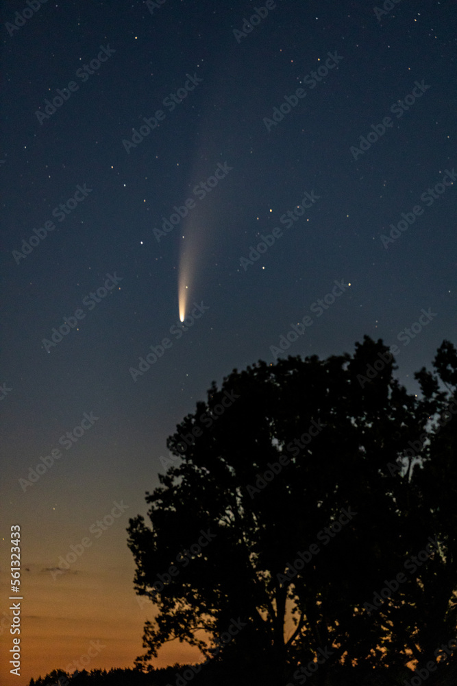 Komet Neowise an der Zundelbacher Linde