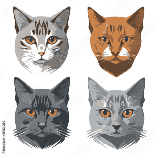 Fototapeta Naklejka Na Ścianę i Meble -  Realistic Cat Faces Vector Set