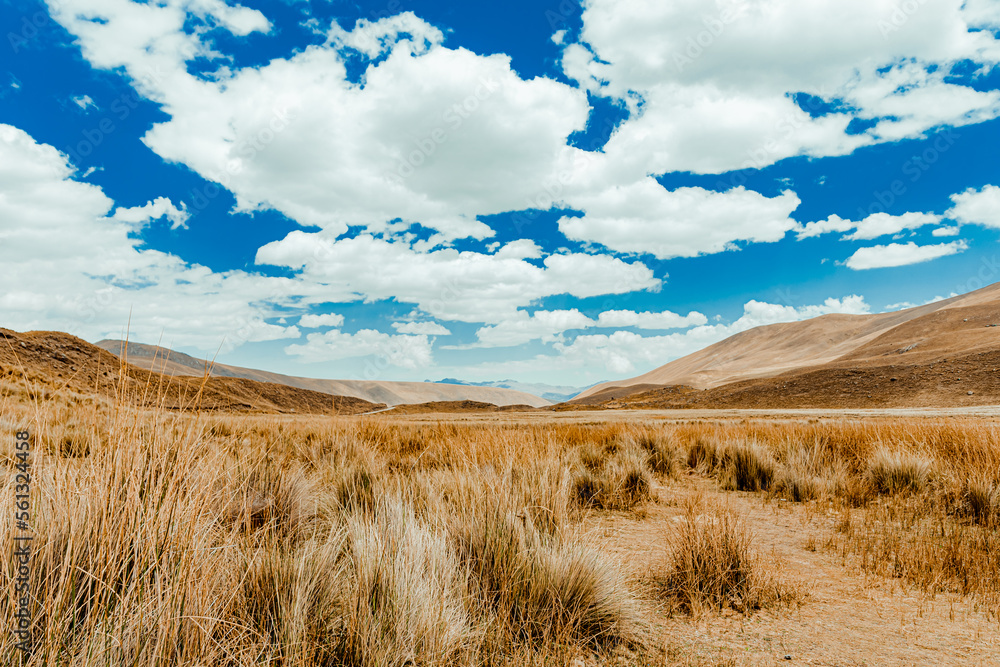 Fototapeta premium Beautiful landscapes