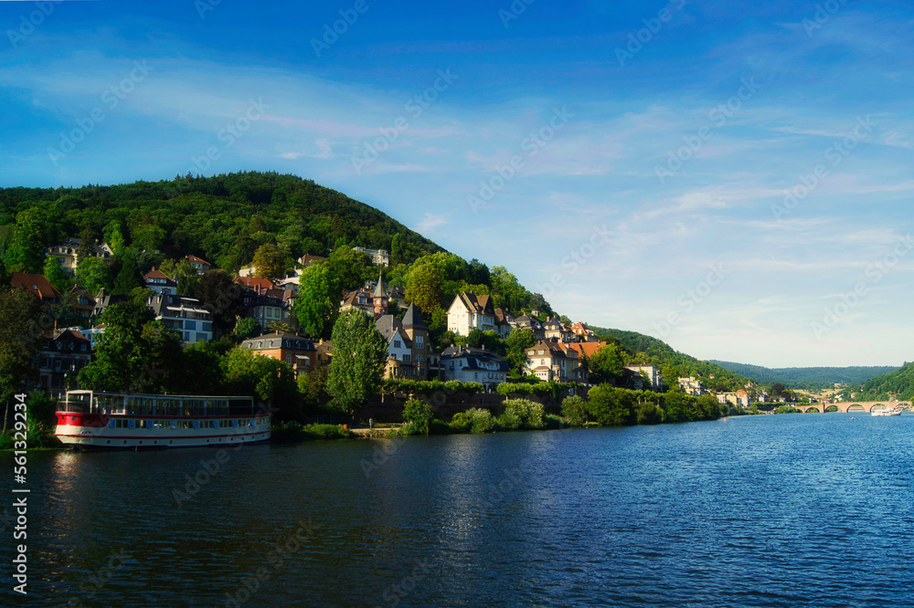 Blick vom Neckar auf Heidelberg