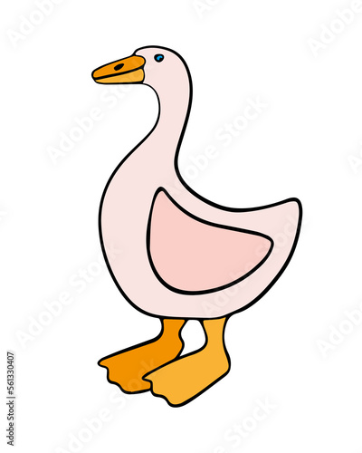 Vector isolated illustration of domestic fowl goose.