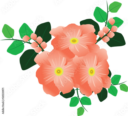BEAUTIFUL FLOWER VECTOR ILLUSTRATION FOR ADULTS