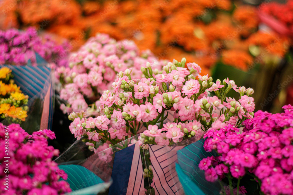 BUQUÊ DE FLORES BUQUÊ DE FLORES