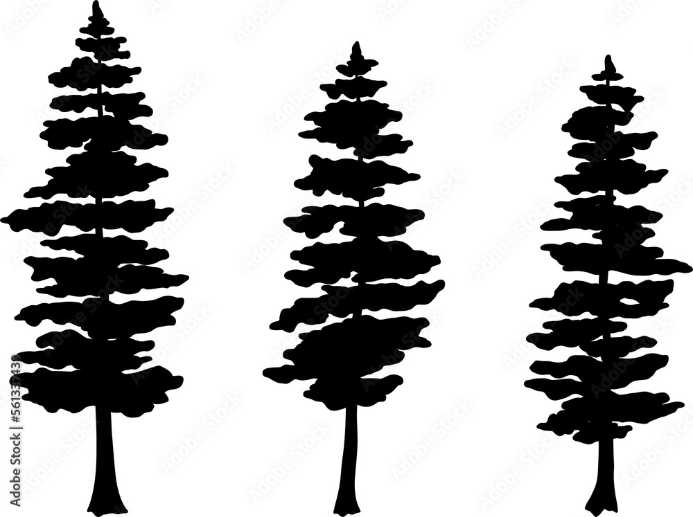 The silhouette of a spruce tree grows in the forest. Stock Illustration ...