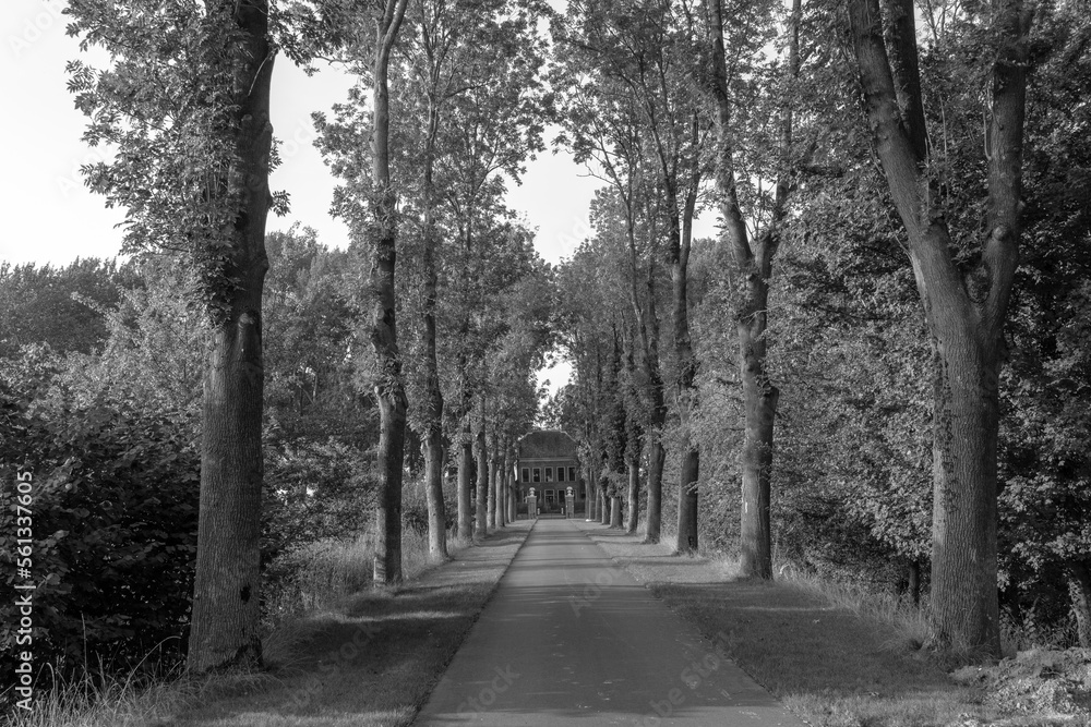 Obraz premium grayscale shot of a path in the landscape
