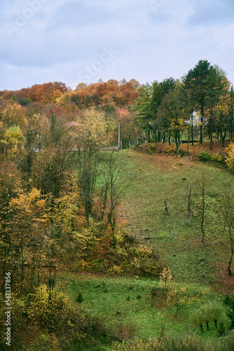 A hill covered with green grass, surrounded by trees with yellow, red, and brown leaves, blue sky in the distance.