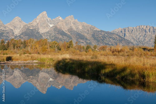 Scenic Reflection Landscape in Grand Teton National Park in Autumn