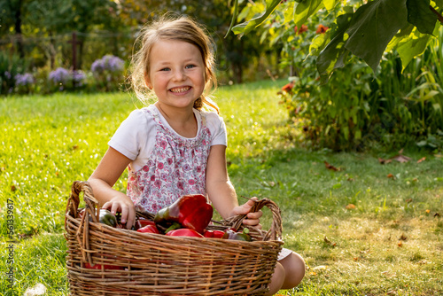 Girl with a basket of red bell peppers. Country life