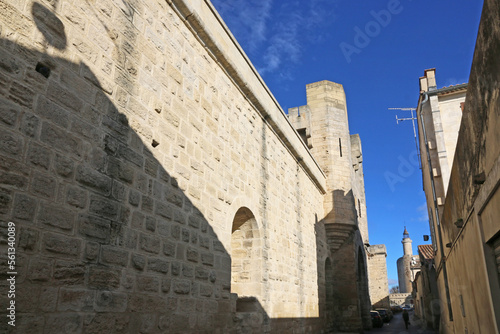  City walls and Tower in Aigues-Mortes in France 