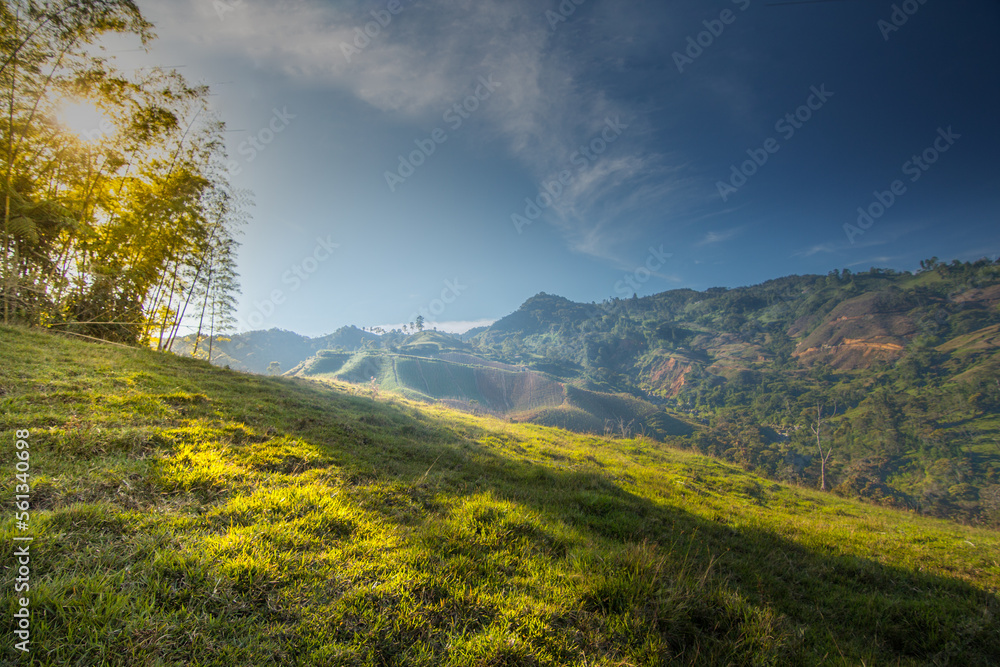 Obraz premium landscape in the mountains