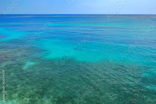 tourquoise ocean and corals in rosario islands, colombia