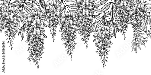 Tableau sur toile Seamless vector horizontal pattern bush of flowering wisteria in engraving style