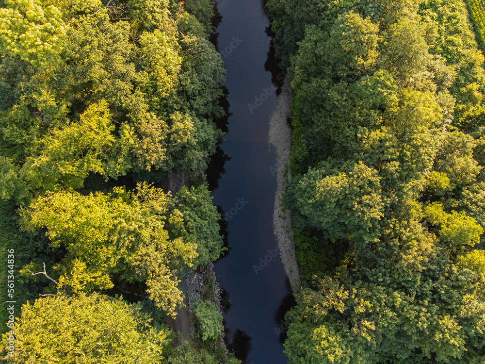 Aerial photo of a river and green trees Aerial photo of a river and green trees