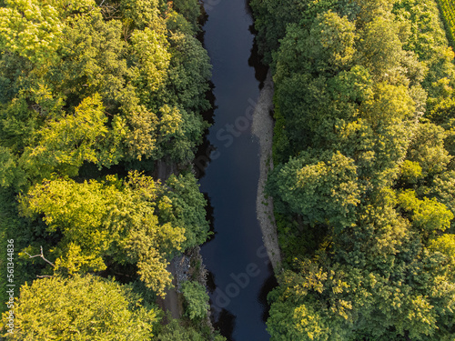 Aerial photo of a river and green trees