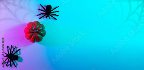 Halloween design. Black night spider, scary spooky pumpkin on night neon helloween background. Happy Halloween concept. Frame. Copy space, Flat lay. photo