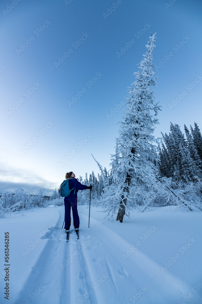 Woman in purple skiing outfit in winter wonderland area of northern Canada with blue sky background. Woman in purple skiing outfit in winter wonderland area of northern Canada with blue sky background.