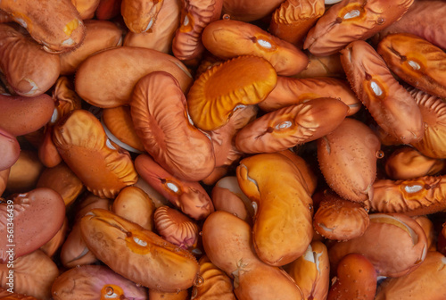 Close up kidney bean pile in water