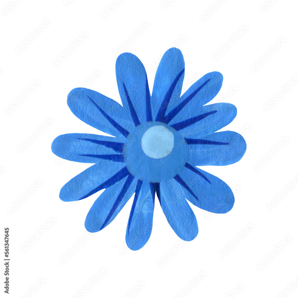 blue flower on white background blue flower on white background