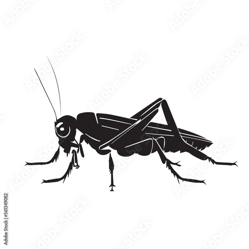 Grasshopper black and white vector icon. Minimal simple bug illustration. Black silhouette  of summer insect. Macro view. Drawing logo for pest control.  Simple symbol of fly with antenna.