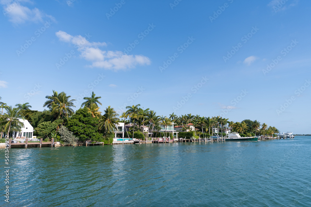 skyline landscape with palm trees for summer vacation